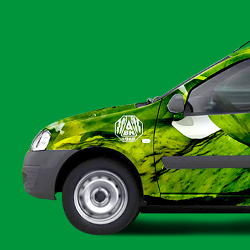 Автомобильная колористика