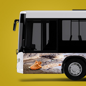 Про секрет – всему свету!