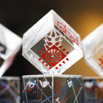 Награды, сделанные в России