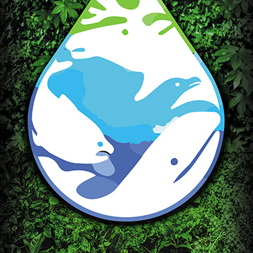 Сахалин рядом!