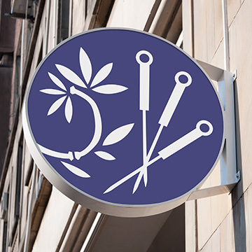 Брендбук и логотип с бамбуковой рощей