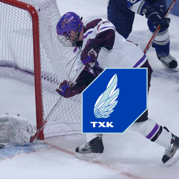 Билетная система