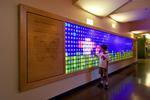 Интерактивная стена