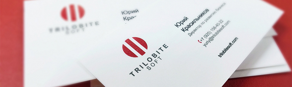 Цифровая печать визиток