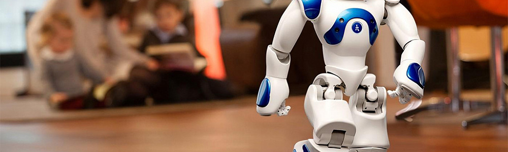 Робопомощник дома