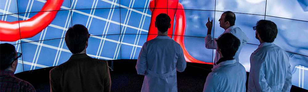 Полиэкранное видео на медицинской презентации