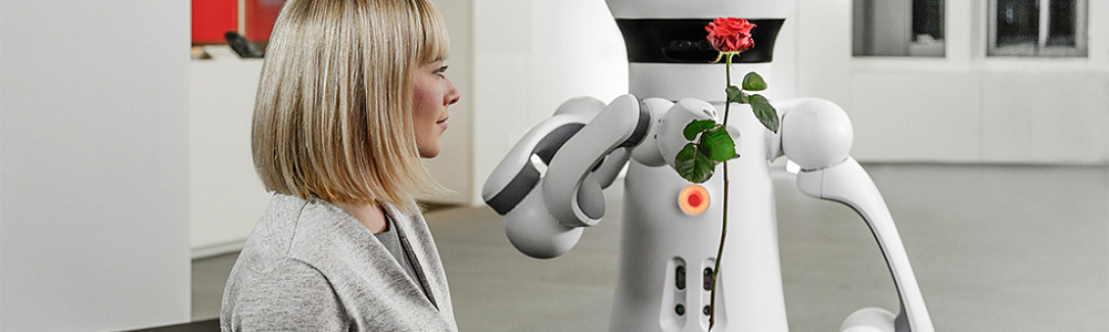 Робопомощник в доме